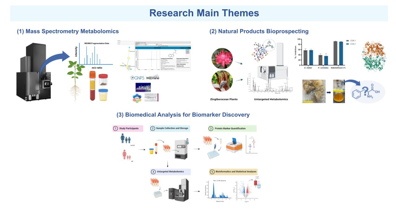 Research Themes